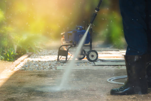 Animal Enclosure Cleaning in Hawaiian Beaches, HI